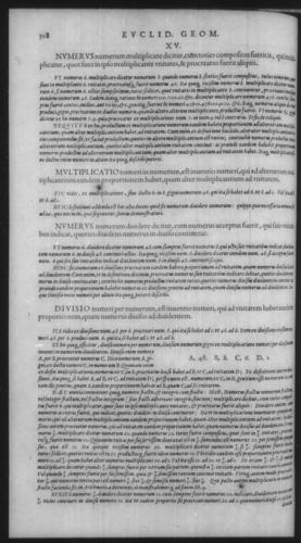 First Volume - Commentary on Euclid - VII - Page 308