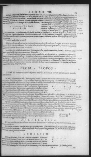 First Volume - Commentary on Euclid - VII - Page 315