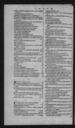 Third Volume - Commentary on John of Holywood's Spheres - Index - Page 322