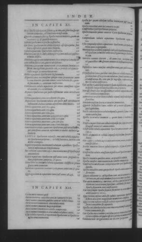 Fifth Volume - Roman Calendar of Gregory XIII - Index of chapter contents - Page 604